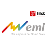 GRUPO EMI