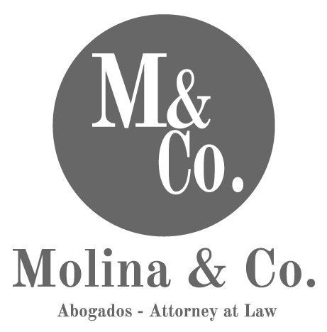 Molina & Co -  Attorney at Law